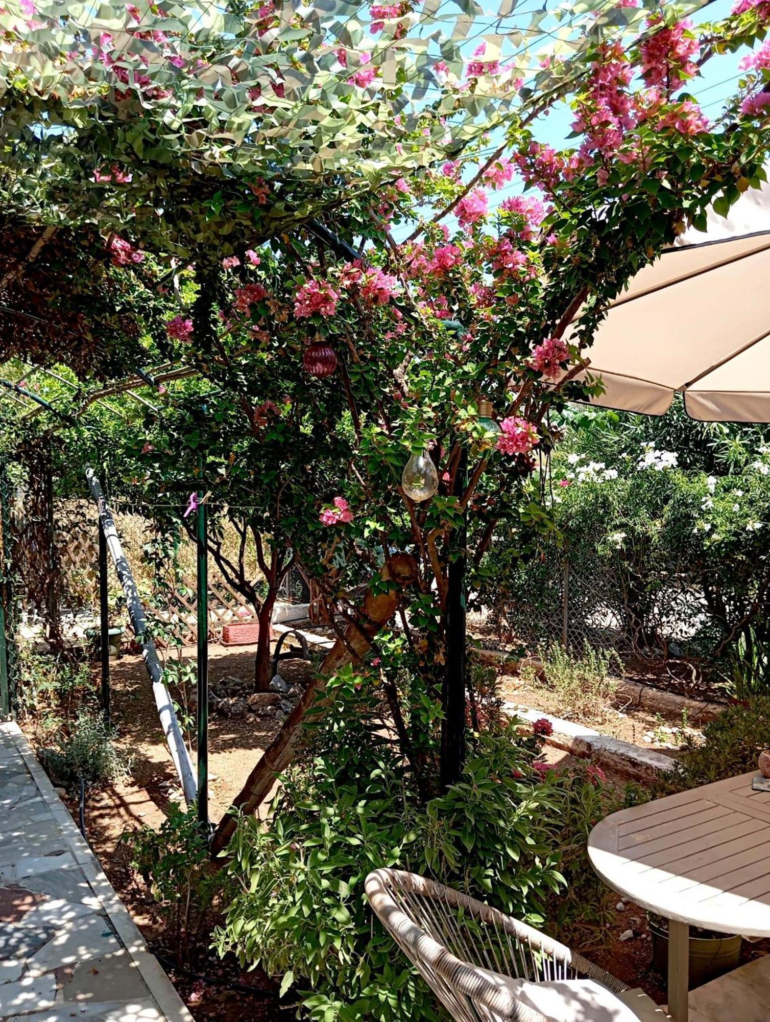 Εξοχικό Roxani Ambelakia Exterior foto