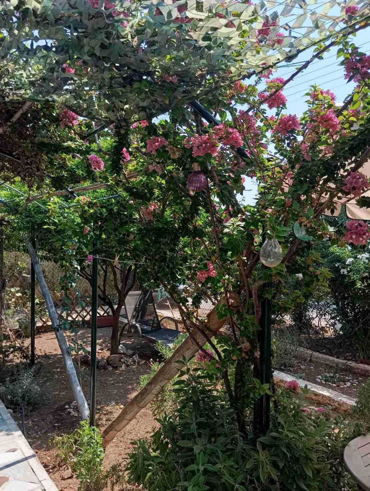 Εξοχικό Roxani Ambelakia Exterior foto