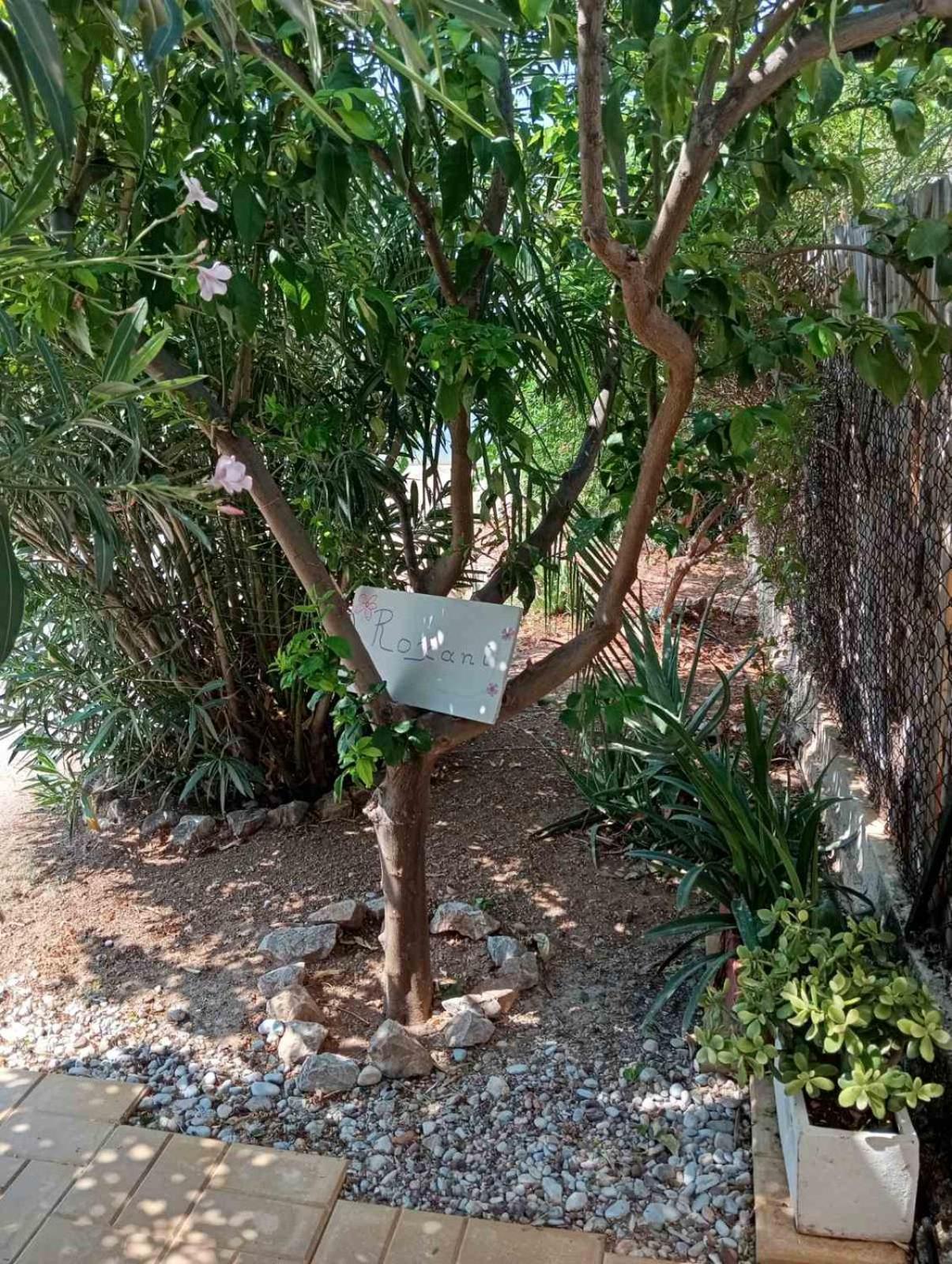 Εξοχικό Roxani Ambelakia Exterior foto