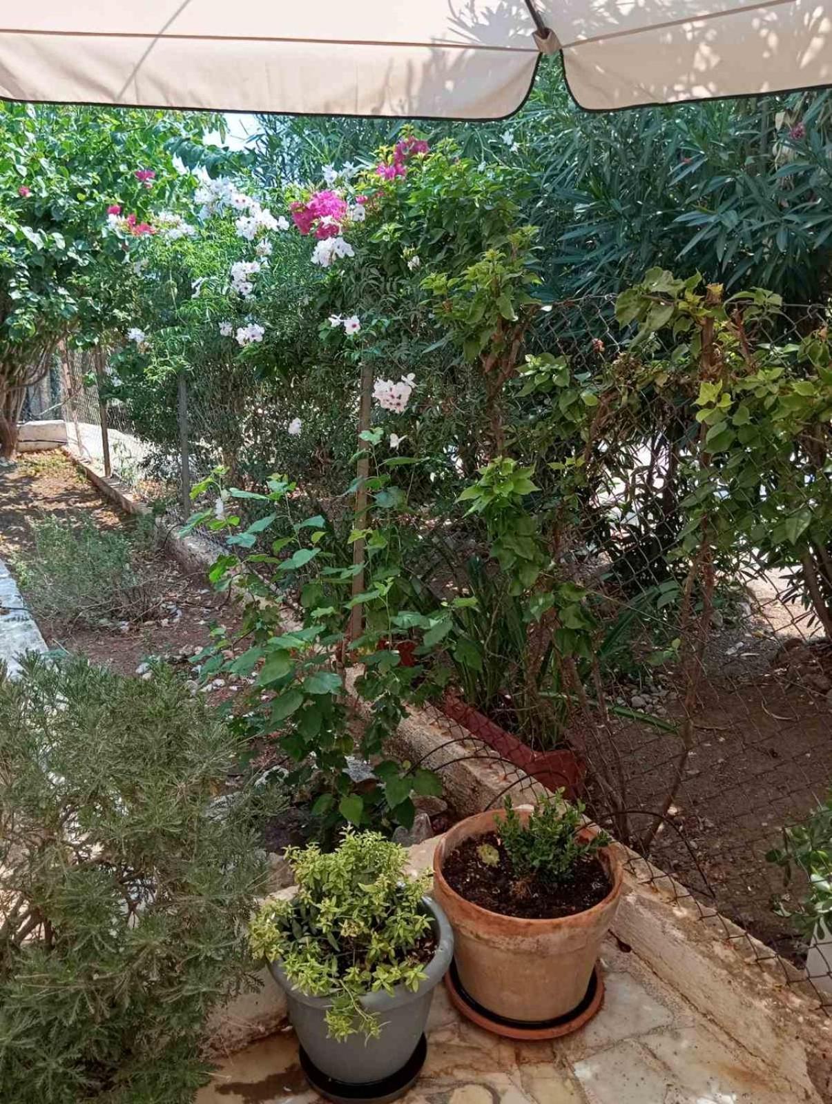 Εξοχικό Roxani Ambelakia Exterior foto